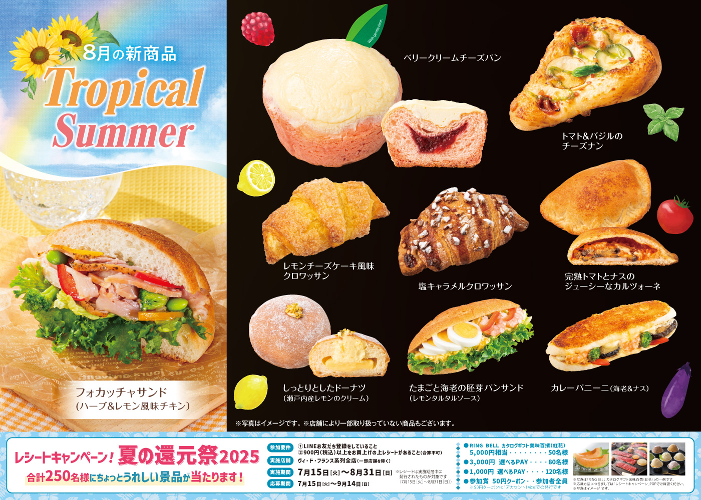 ８月の新商品NEWS