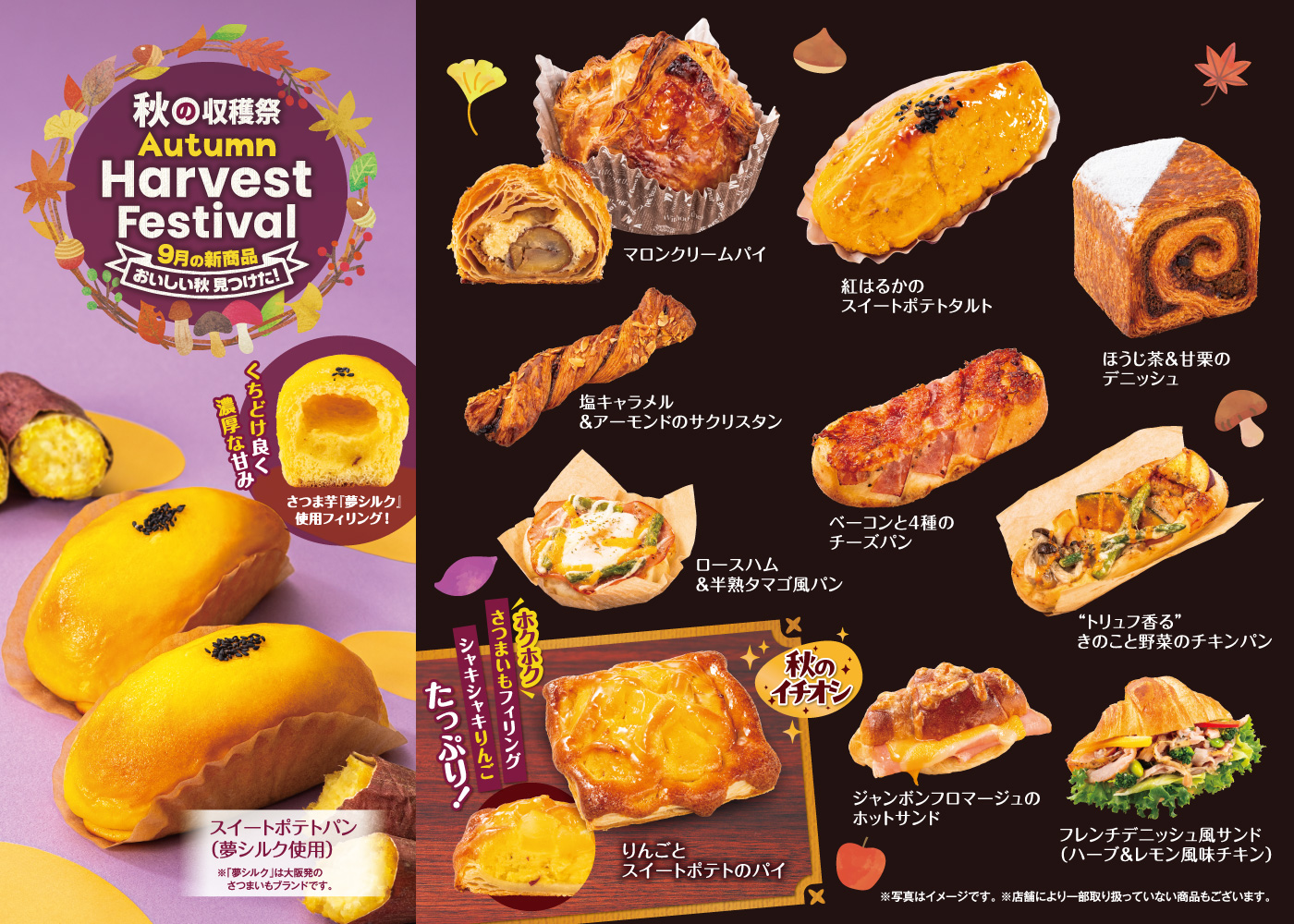 9月の新商品NEWS